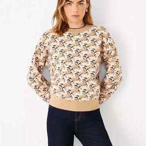 Ann Taylor Equestrian Horse Print Sweater Brown Fall Size Women’s Small Petite